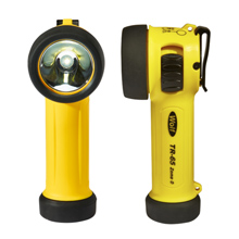 ATEX Compact Safety LED Torch